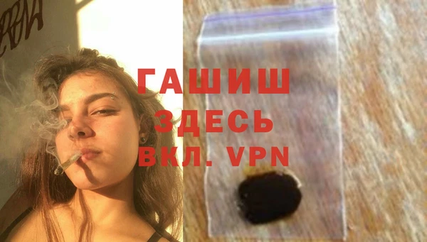 стаф Осинники