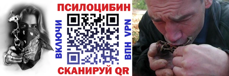 Псилоцибиновые грибы Cubensis  Бирюч 
